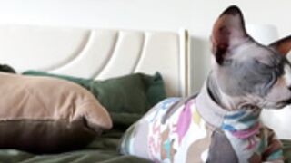 graciemae_baexx 2025-08-27_00-27-00-002