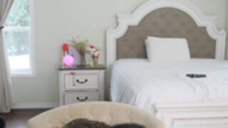 aspenwild-2025_01_25-15_18_20