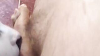 Elenasahar 376 under the shower, bj, sex and cumshot