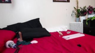 lilypixel 2025-05-10