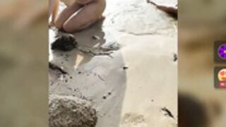 Two_hot_cats_love wild at beach with Brighton_Beach