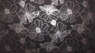 Selina_levin oil show -- Who else misses her? --