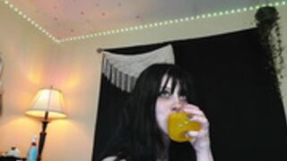 lilypixel 2025-03-07