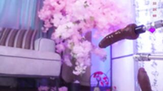 marry_cordy_2025-08-17_02-39-00_024