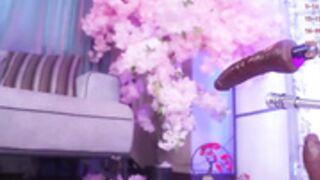marry_cordy_2025-08-17_02-39-00_024