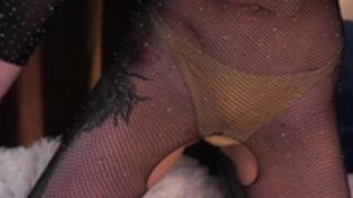 taitehambelton 2025_10_05 1