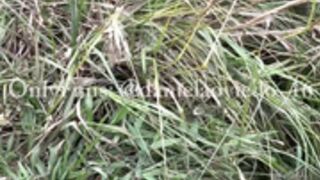 Daniela Oviedo Outdoors BG Quicke