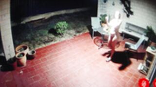 bluexstacey 2025-05-23_16-53-47-002