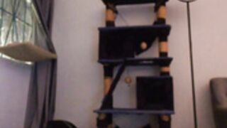 emma_johnson_ 2025-10-16_08-10-18