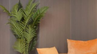 calliadesigner 2025-04-26_22-43-45-001