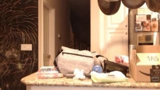 bunni public  02 2017-08-18