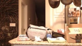 bunni public  02 2017-08-18