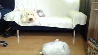 Zuram03 recording 30.07.2015