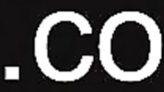 ocicat 2025-05-09_08-25-21-004