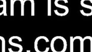 ocicat 2025-05-08_10-25-05