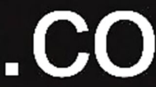 ocicat 2025-05-08_11-50-29