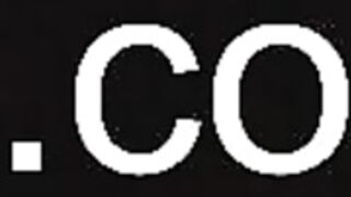 ocicat 2025-05-08_11-50-29