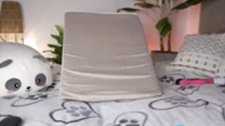 soy_destiny1 2025_11_01 - 1