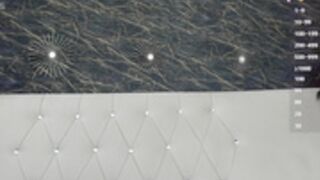 maya_lisa 2025-04-19_07-50-52