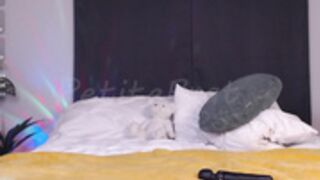 petitebrat 2025_09_15 - 6