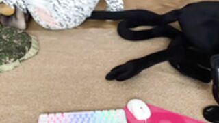 yuanlili 20251103（4）