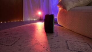 lucy_gooosey 2025-04-13_11-47-49