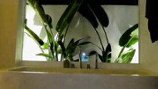 kristymack 2025-04-24_15-25-20-002