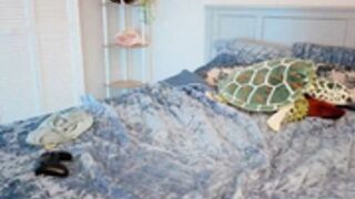 asiri_ocean_2025-11-07_21-36-09_832