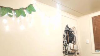 Forest_nymph oil recording