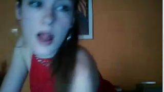 Iamsally zorrita sudamericana