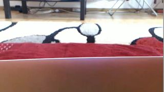 Antonia__23 20160411_153255