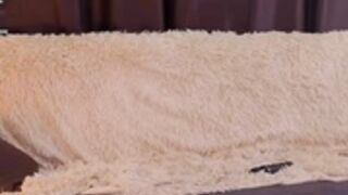 Sunshinegirlx 10 24 25 2