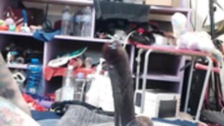 tatted animergamergirl insane deep throat