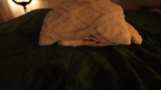 tollysage,hairy 2025_11_19 - 5