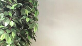 CB-trixie_taylor # 8