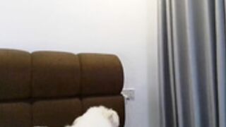 hersheys_aran 2025-11-18_09-51-36-002