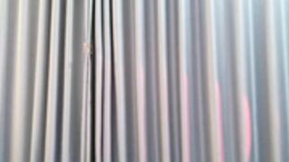 hersheys_aran 2025-11-15_09-18-09