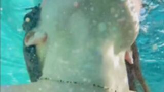 Megnutt 26
