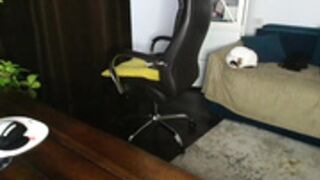 siriamasha_2025-11-04_13-01-36_136