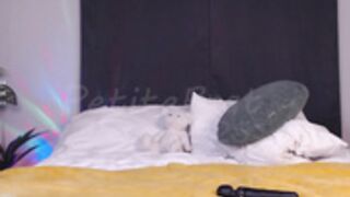 petitebrat 2025_08_24 - 3