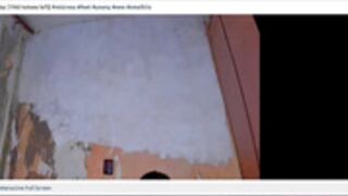Fuckas painting
