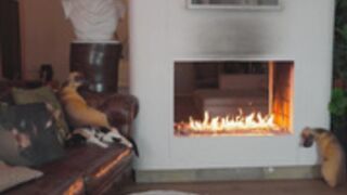008996, 0140