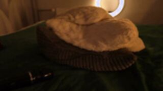 tollysage 2025_11_27 - 5
