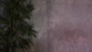 alliesynns 2025-11-27_16-43-13-002