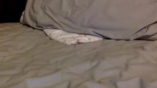 Xcatxnippx cam recording 2015 December 31-04.10