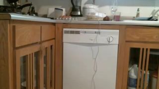 MAJORASFOX In the kitchen.