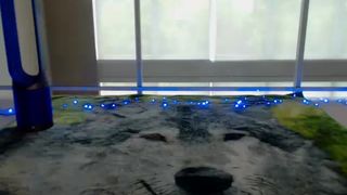 Kamilekat_ - 2016-06-15 - 01