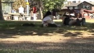 espiando en el parque