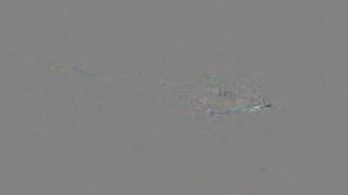 Hot Father/Daughter RP