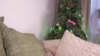 Taitehambelton 20251208